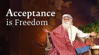 Why Acceptance Is Freedom  Sadhguru Spot 2nd Aug 2018 [upl. by Ezana]