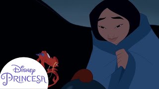 Lecciones Importantes que las Princesas nos Enseñaron  Disney Princesa [upl. by Donall874]