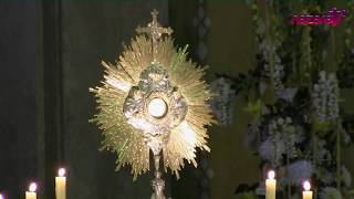 15 minutos con Jesús sacramentado de nazarettv [upl. by Niltyak]