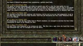 Icewind Dale II Playthrough Part 14 Palisade Is Under Attack [upl. by Briant]