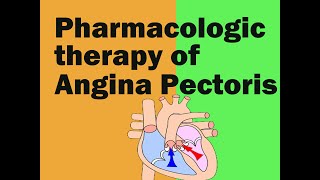 Antianginal drugs pharmacological mechanism of action of nitroglycerin Ranolazine Trimetazidine [upl. by Araiek822]