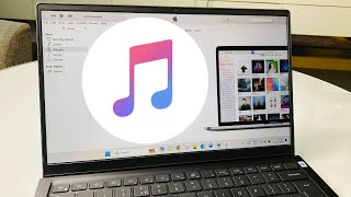 How to Install iTunes on Windows 11 [upl. by Hourigan]