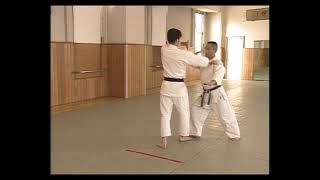 Yoshinkan Aikido  Kata Mochi Yonkajo Osae Ichi [upl. by Airam]