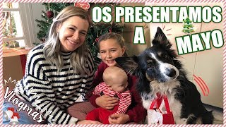 🎄¡OS PRESENTAMOS a MAYO  ❄️ VLOGMAS ❄️  Familia Carameluchi [upl. by Nyltiak]