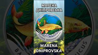 МАРЕНА ДНІПРОПЕТРОВСЬКА  MARENA DNIPROVSKA [upl. by Moor507]