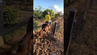 Corrida de argolinha vídeo de parceiro🥰🤩👏🏻👏🏻🏇🏻 [upl. by Jaan]