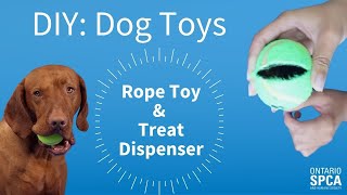 DIY Dog toys Rope toy amp treat dispenser [upl. by Lanie]