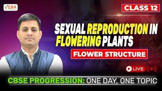 Flower Structure  Sexual Reproduction in Flowering Plants  class 12  Biology  One Day One Topic [upl. by Jerman]