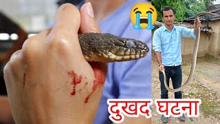 🐍 पूजा कोठा भित्र भेटियो मान्छे टोक्ने सर्प nepal snake rescue team [upl. by Oicnanev280]