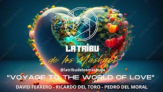 La Tribu de los Mashups  Voyage to the World of Love Clublanders vs Mode Apart Mashup [upl. by Einwahr]