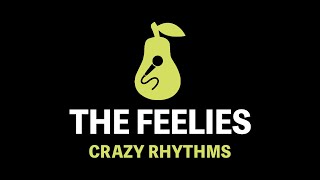 The Feelies  Crazy Rhythms Karaoke [upl. by Aikemal454]