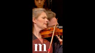 Janine Jansen never disapoints Shorts ViolinLovers JanineJansen [upl. by Enomahs]