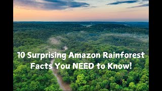 10 Surprising Amazon Rainforest Facts You NEED to Know [upl. by Rame]