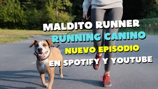 rEpisodio 23 Running canino [upl. by Pernick]