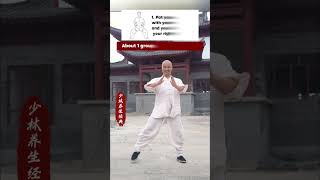 Leg Strengthening Aerobics Simple Moves to Boost Leg Power and Endurance kungfu [upl. by Eux795]