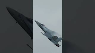 Swiss Air Force  McDonnell Douglas FA18C Hornet EPIC CLIMB [upl. by Kurys]