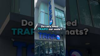 Do cars need TRAPO car mats [upl. by Peterus170]