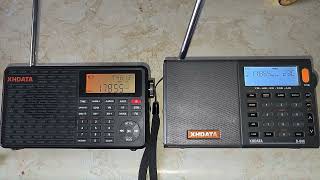 XHDATA D109 VS XHDATA D808 You cant really compare them they are different types of radios [upl. by Asilanna]