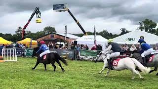 Shetland Pony Grand National  July 2024  Hanbury Countryside Show [upl. by Ralyt]