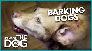 How to Stop Your Dog from Barking  Its Me or the Dog [upl. by Meenen]