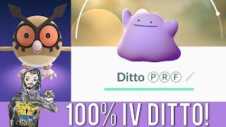 LITERALLY THE RAREST POKEMON IN POKEMON GO 100 IV DITTO Perfect Ditto Caught in San Francisco CA [upl. by Hindorff]