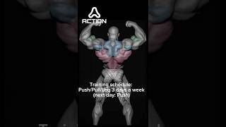 Training schedule PushPullLeg 3 days a week next day Push [upl. by Yehus]