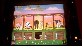 Milkin It slot bonus win with retrigger at Sands Casino in Bethlehem PA [upl. by Hsihsa]