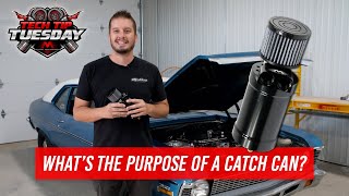 How to setup an oil catch can on a high performance engine Tech Tip Tuesday [upl. by Jethro]