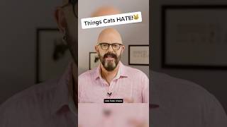 More things cats HATE cats catvideos [upl. by Rochester]