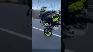 stunt stuntrider motocross moto viralshorts [upl. by Orthman236]