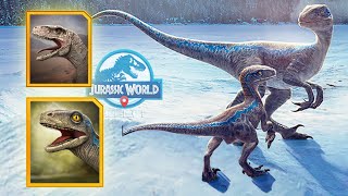 ATROCIRAPTOR BETA LA HIJA DE BLUE Y MAS Los nuevos dinosaurios de Dominion en Jurassic World Alive [upl. by Metzgar663]