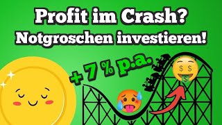 Was passiert wenn du im Crash deinen Notgroschen in ETF investierst [upl. by Olonam]