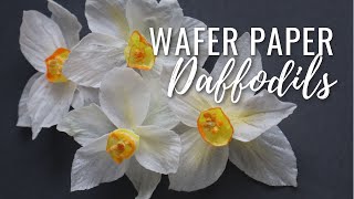 How to Make Wafer Paper Daffodils  free template download Wafer Paper Friday Ep 3 [upl. by Garrik]