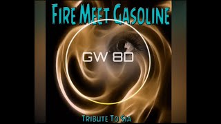 Sia 🎧 Fire Meet Gasoline 🔊8D AUDIO VERSION🔊 Use Headphones 8D Music [upl. by Publea]