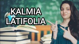 KALMIA LATIFOLIA HOMOEOPATHIC MEDICINEEXPLAINED WITH ALLEN KEYNOTES DRDEEKSHA [upl. by Akili372]