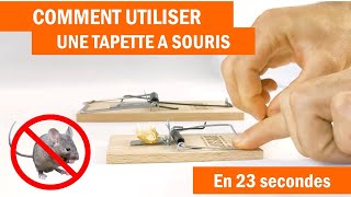 Tapette à souris et à rats comment les utiliser [upl. by Zabrine314]