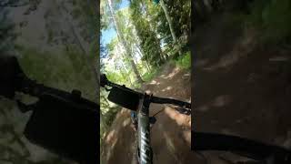 Dropping the Mine Shaft SolitudeMountain this summer 🚵‍♀️ youtubeshorts mtb [upl. by Pier]