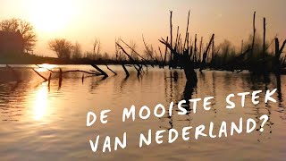 Is dit de mooiste stek van Nederland Vliegvissen op Snoekbaars in de Biesbosch  VLOG 12 [upl. by Ardnazil]