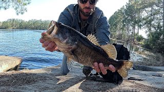 Bass Fishing A Crystal Clear Pond [upl. by Edylc]