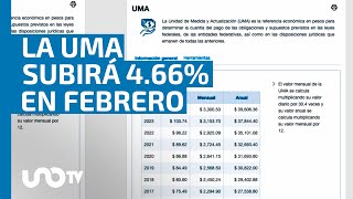 Desde febrero aumentará la UMA su valor en 466 ahora costará 10857 pesos diarios [upl. by Macleod113]