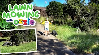 Ozzie Mows an Overgrown Yard with Help from his Fox Lawn Mowing Mates  Kids Video [upl. by Aidyn]