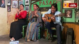 Flamenco en el Tabanco El Pasaje Jerez [upl. by Pavlish836]