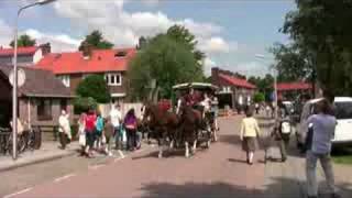 Paardenmarkt Alblasserdam 2008 [upl. by Chud]