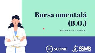 Bursa omentala  Sesiunile de Mentorat SCOME  Anatomie Anul 2 Semestrul 1 [upl. by Grigson]