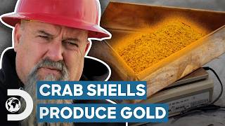 Crab Shells Help Hoffmans Find Big Gold Haul  Hoffman Family Gold [upl. by Hajin]