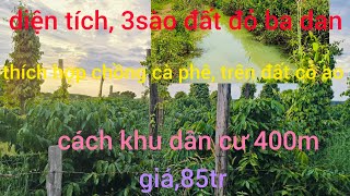 đã bán3sào đất đỏ badan có có ao thích hợp trồng cà phê cách dân cư 400m giá85tr bớt lọc [upl. by Bowe]