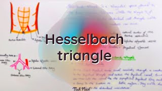 Hesselbach triangle  Easy notes and explanation in hindi 3D Anatomy [upl. by Nikolia]