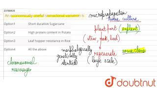 An economically useful somaclonal variation is [upl. by Rramal674]