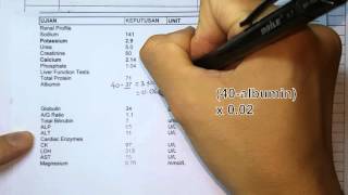 Calculating Corrected Calcium Level [upl. by Einalem398]