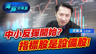 持股的春天來臨 中小股開始反彈 領先指標就是他們 ｜海豚交易室｜范振鴻 [upl. by Ahsikat]